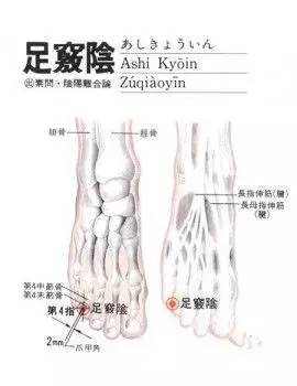 偏头痛,目眩,目赤肿痛,耳聋,耳鸣,喉痹,胸胁痛,足跗肿痛,多梦,热病.
