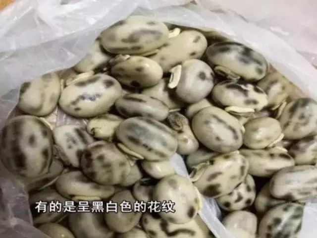 盘点广东食物中毒事件:男子吃狗爪豆后全身发冷