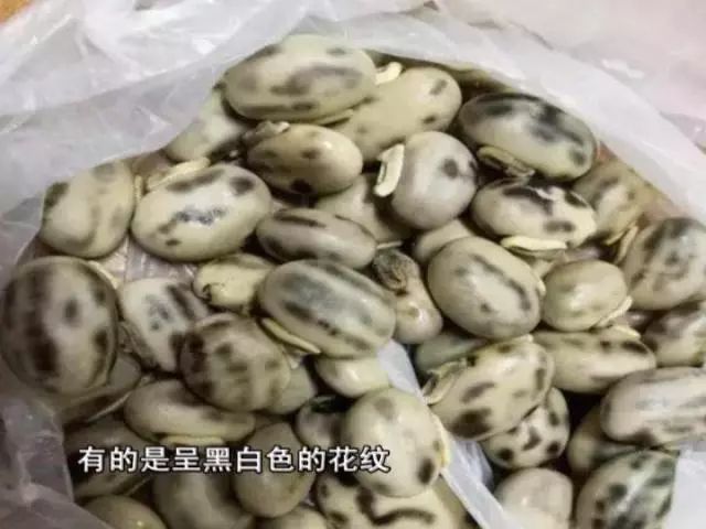 盘点广东食物中毒事件:男子吃狗爪豆后全身发