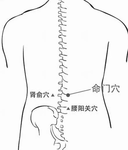 2.神阙穴