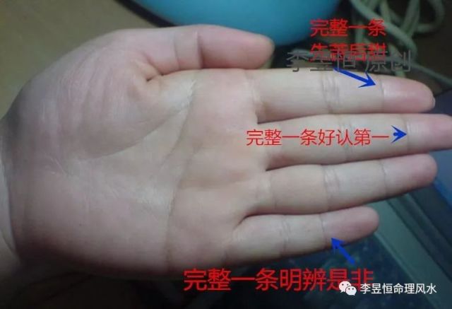 手相:小指指节分界线一条,两条的含义