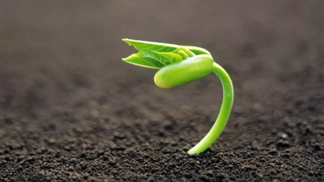 写给2018:融资租赁法律合规四大黑洞引发行业