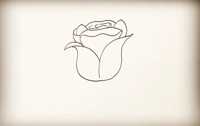 同样的画法再画出另一侧的叶子. 第八步  然后在下方画出玫瑰花茎.