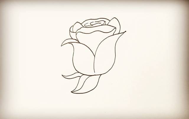 同样的画法再画出另一侧的叶子. 第八步  然后在下方画出玫瑰花茎.