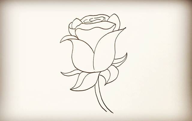 最后我们把画好的玫瑰花涂上漂亮的颜色吧.