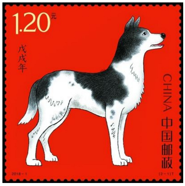 首轮已上涨千倍 今年的狗票都有哪些投资看点？