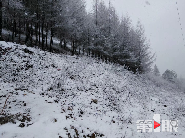 2018年的第一场雪就这样悄悄地来了!