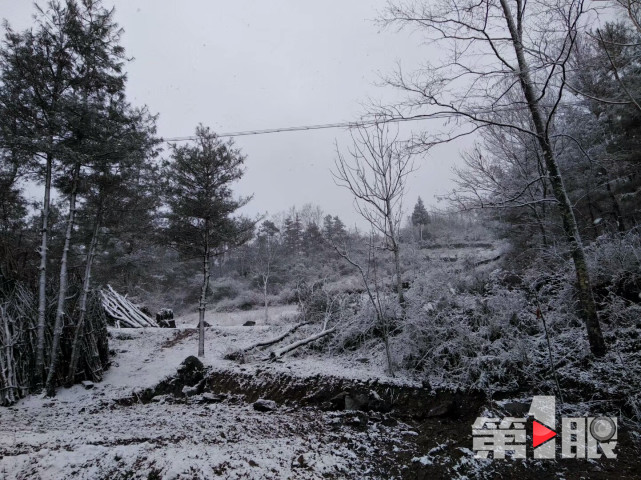 2018年的第一场雪就这样悄悄地来了!