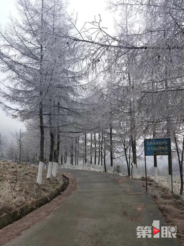 2018年的第一场雪就这样悄悄地来了!