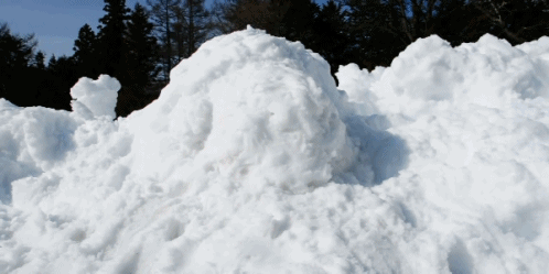扎雪乡人口_雪乡图片(3)
