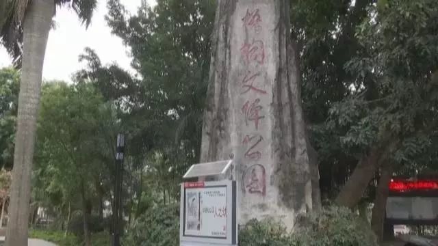 龍崗11歲男孩消失56個小時 原因成謎