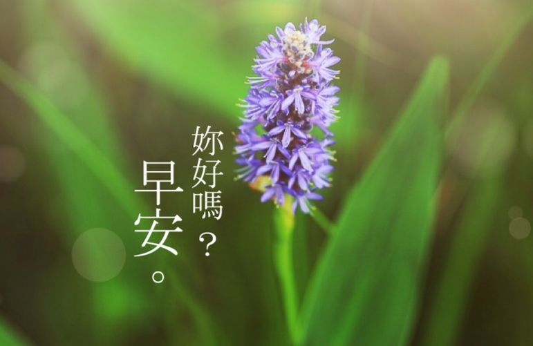 早安带字图片 朋友圈早安美丽语录