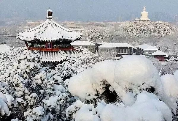 鲁迅先生在散文《雪》中写道:暖国的雨向来没有变过冰冷的坚硬的灿烂