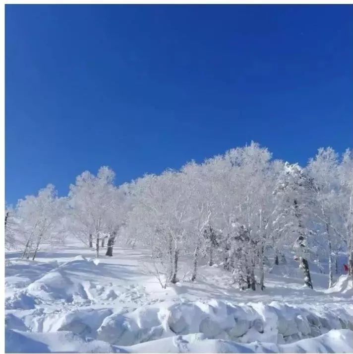 雪景很美,海尔人在大雪中留下的这一串串脚印,更美!