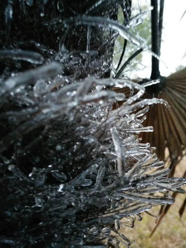 廣東又有地方結(jié)冰了，大串大串非常美