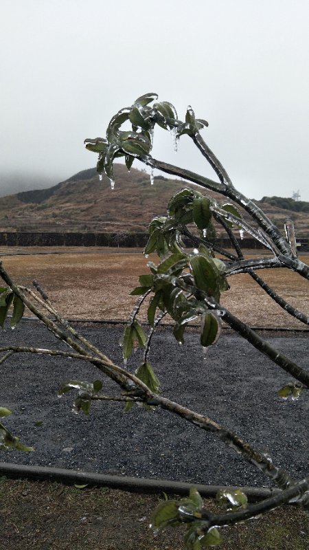 廣東又有地方結(jié)冰了，大串大串非常美