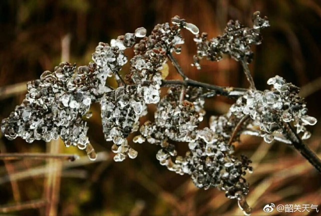 廣東又有地方結(jié)冰了，大串大串非常美