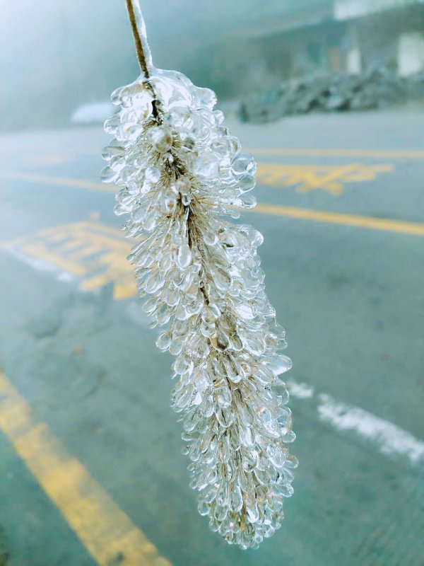 廣東又有地方結(jié)冰了，大串大串非常美