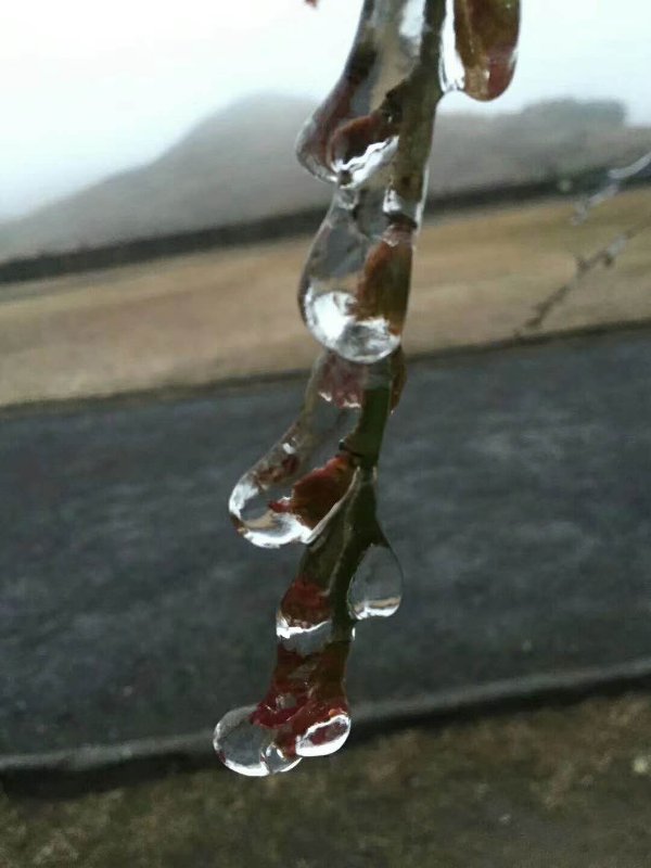 廣東又有地方結(jié)冰了，大串大串非常美