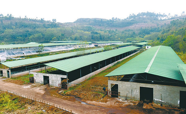 四川近半年办理304件公益诉讼案 行政公益诉讼