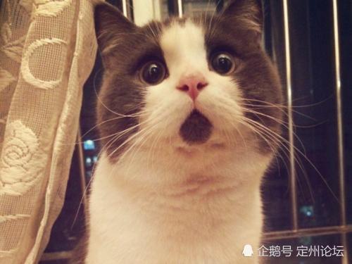 注意!河北定州連發多起入室盜竊!(图1)