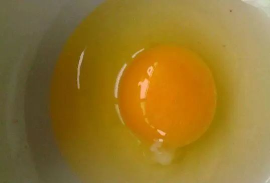 饵料里添加生鸡蛋能有什么不一样?_腾讯新闻