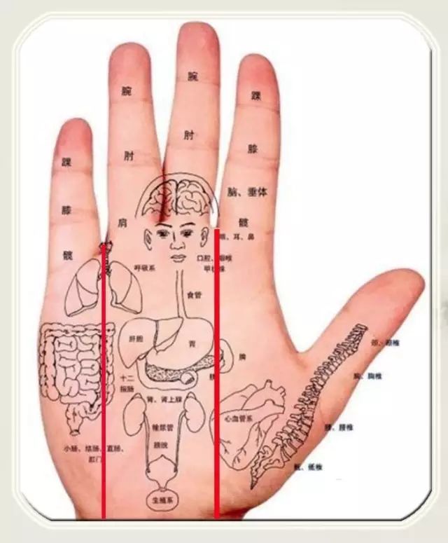 这些病都能从手上看出来…人人都能学会