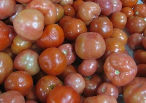 醫生:菜市場這3種菜別再吃了,小心“癌症”找上門(图1)