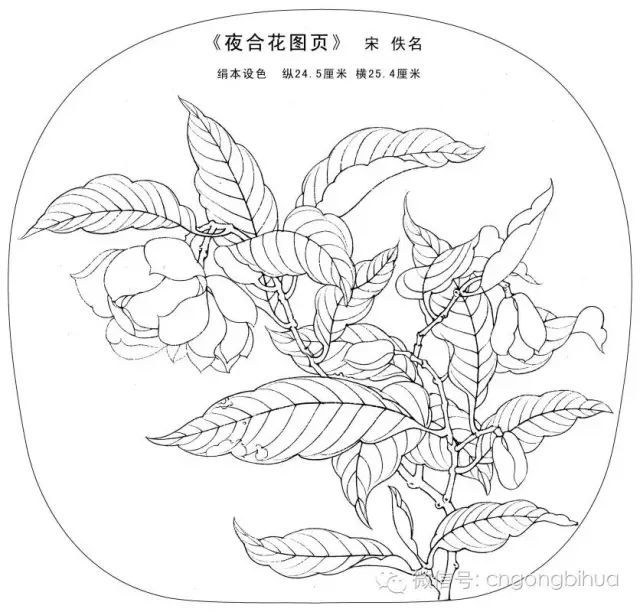 书画鉴赏丨宋画经典花鸟小品.白描图稿