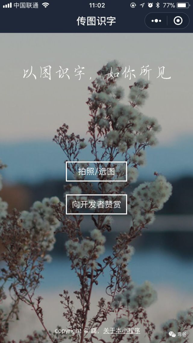 扫图识字,拍照识花,识别谣言等逆天的小程序你