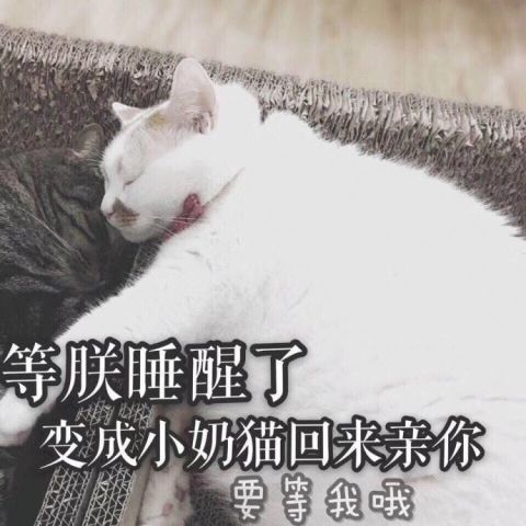 朕表情合集博大全发微表情包加图片怎么图片
