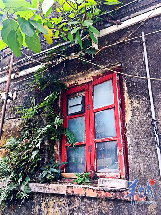 “犀利姐”賣掉越秀一套房，買入另外4套拿來出租