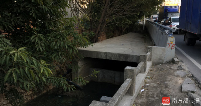 深圳一男子凌晨遇交警查酒駕 跳進(jìn)臭水溝逃走