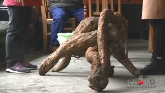 重庆女子挖出“稀罕物” 造型奇特重一百多斤