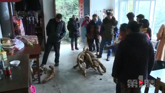 重庆女子挖出“稀罕物” 造型奇特重一百多斤