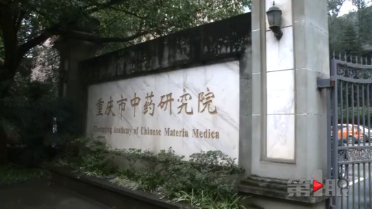 重庆女子挖出“稀罕物” 造型奇特重一百多斤