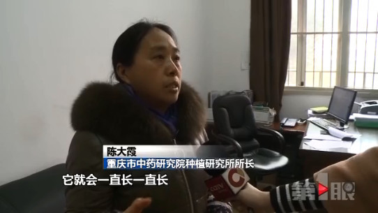 重庆女子挖出“稀罕物” 造型奇特重一百多斤