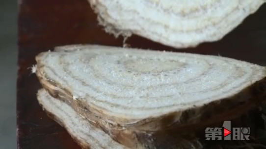 重庆女子挖出“稀罕物” 造型奇特重一百多斤