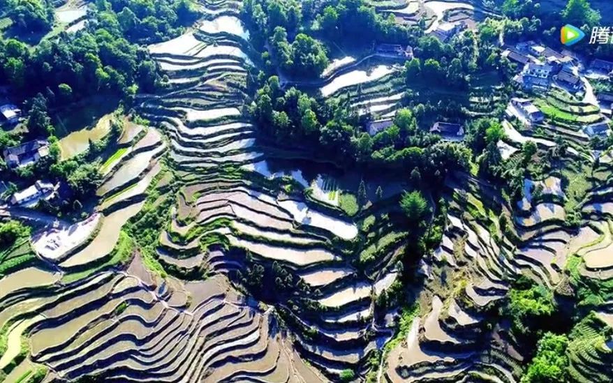 藏在遵義鳳岡大山深處的梯田,金燦燦的美爆了!(图1)