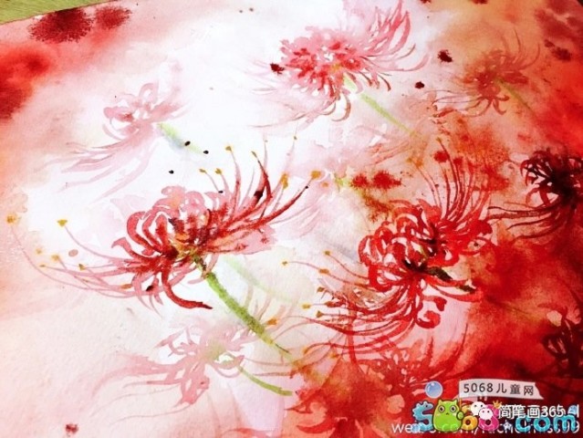画彼岸花 简笔画大全