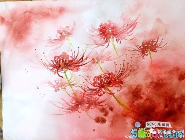 画彼岸花 简笔画大全