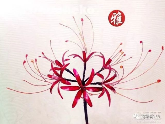 画彼岸花 简笔画大全