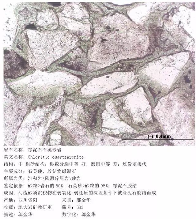 砂岩(17)砂质复成分砾岩复成分细砾岩砂质燧石岩细砾岩含粉砂石灰岩中