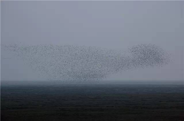 640