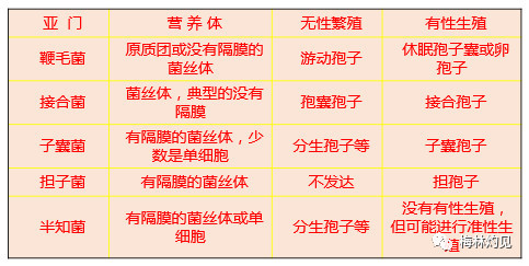 门真菌界壶菌门接合菌门子囊菌门担子菌门真菌的主要类群及所致病害:1