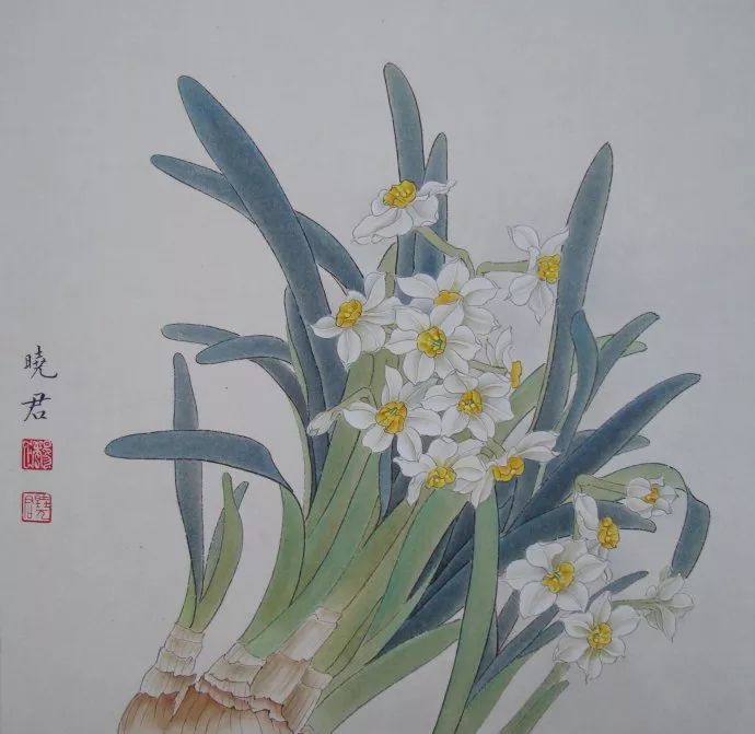 步骤一:先用白描勾勒出水仙花,注意起收笔的细粗变化,花头的疏密变化