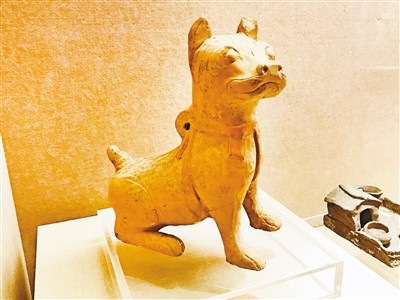 川东猎犬的祖宗是啥样? 狗年来了去看狗博物展