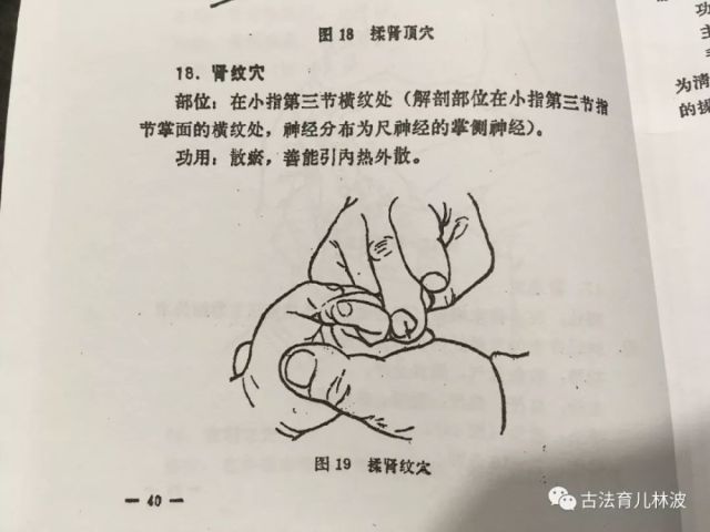 小儿推拿穴位考-肾纹穴