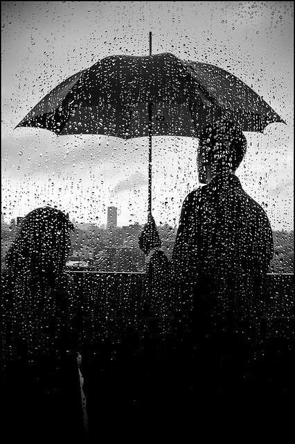 珍惜陪你撑伞的人,别让彼此在这个时代,成为了淋雨的人