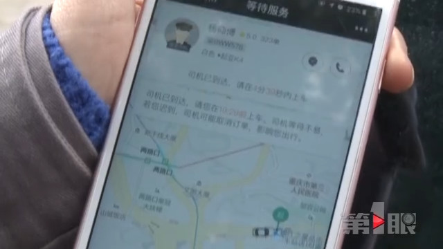 小猫坐上滴滴车 一去无踪好着急